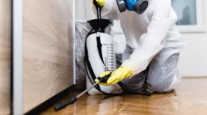 Best Indoor Pest Control  in Abram, TX