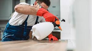 Best Pest Exclusion Services  in Abram, TX